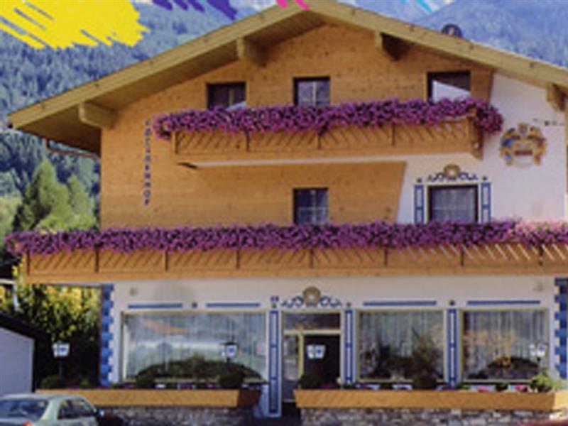 גוצנס Gasthof Goetznerhof מראה חיצוני תמונה